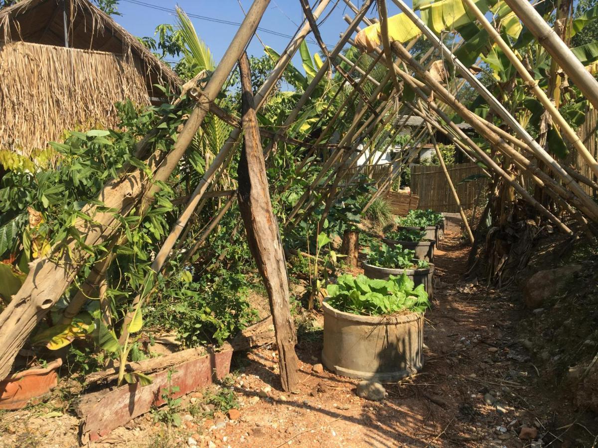 Thong Family Homestay Chiangdao Chiang Dao Zewnętrze zdjęcie