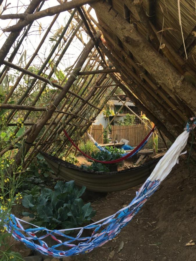 Thong Family Homestay Chiangdao Chiang Dao Zewnętrze zdjęcie