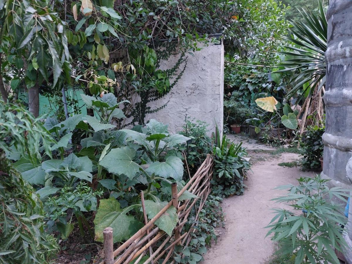 Thong Family Homestay Chiangdao Chiang Dao Zewnętrze zdjęcie