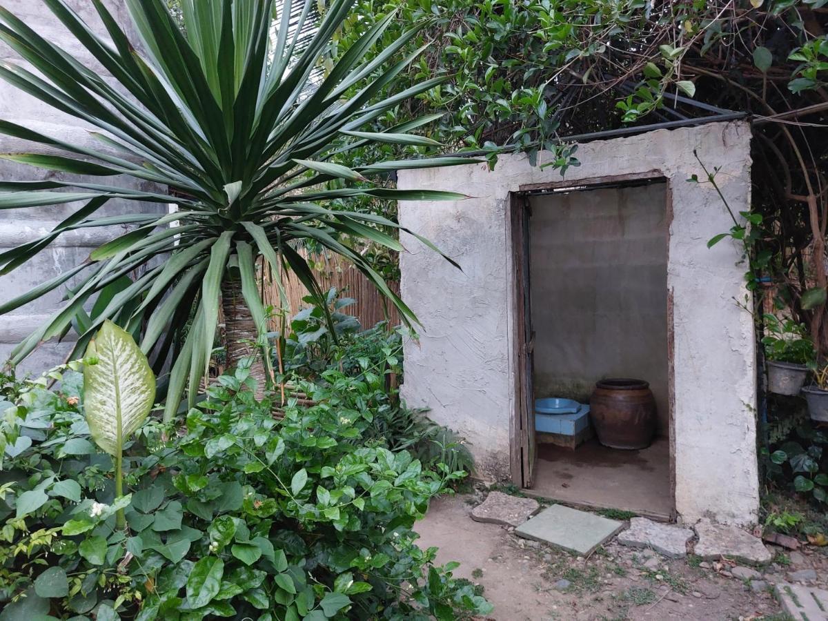 Thong Family Homestay Chiangdao Chiang Dao Zewnętrze zdjęcie
