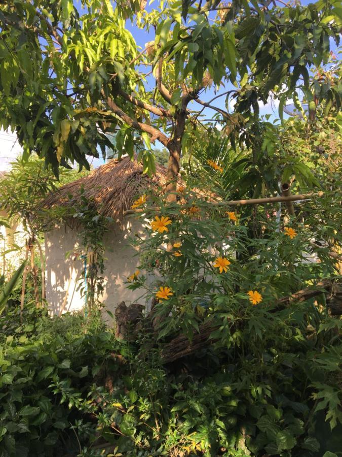 Thong Family Homestay Chiangdao Chiang Dao Zewnętrze zdjęcie